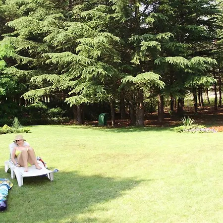 ホテル Dunav サニービーチ