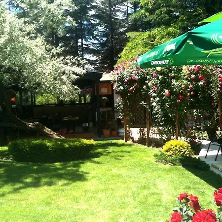 Dunav Hotel